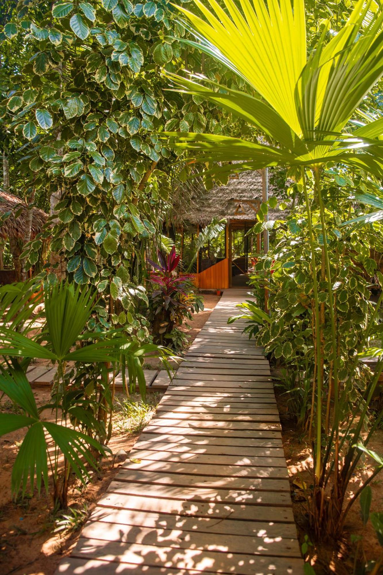 Tronco Tambopata Adventure Otel Puerto Maldonado Dış mekan fotoğraf