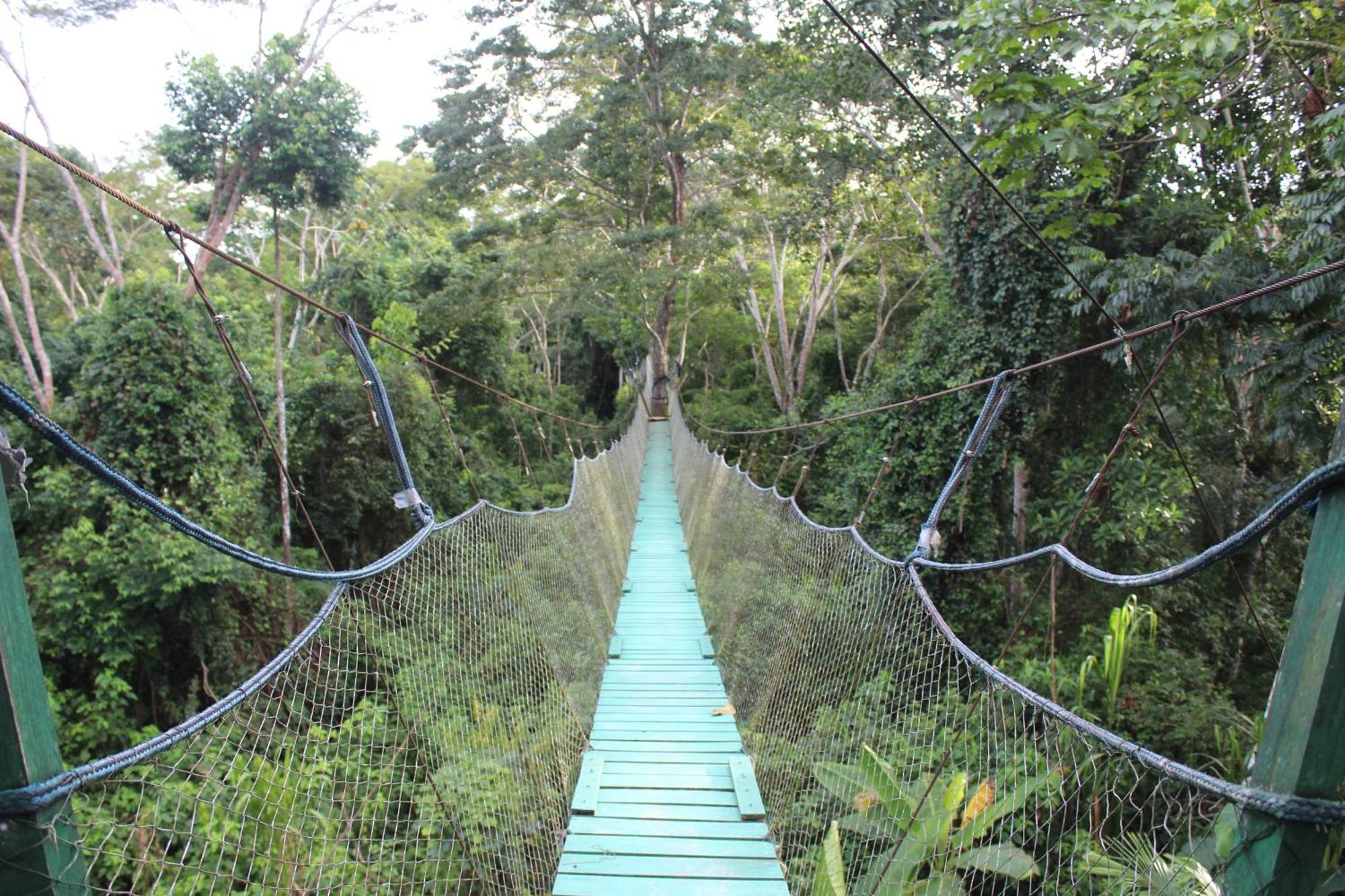 Tronco Tambopata Adventure Otel Puerto Maldonado Dış mekan fotoğraf