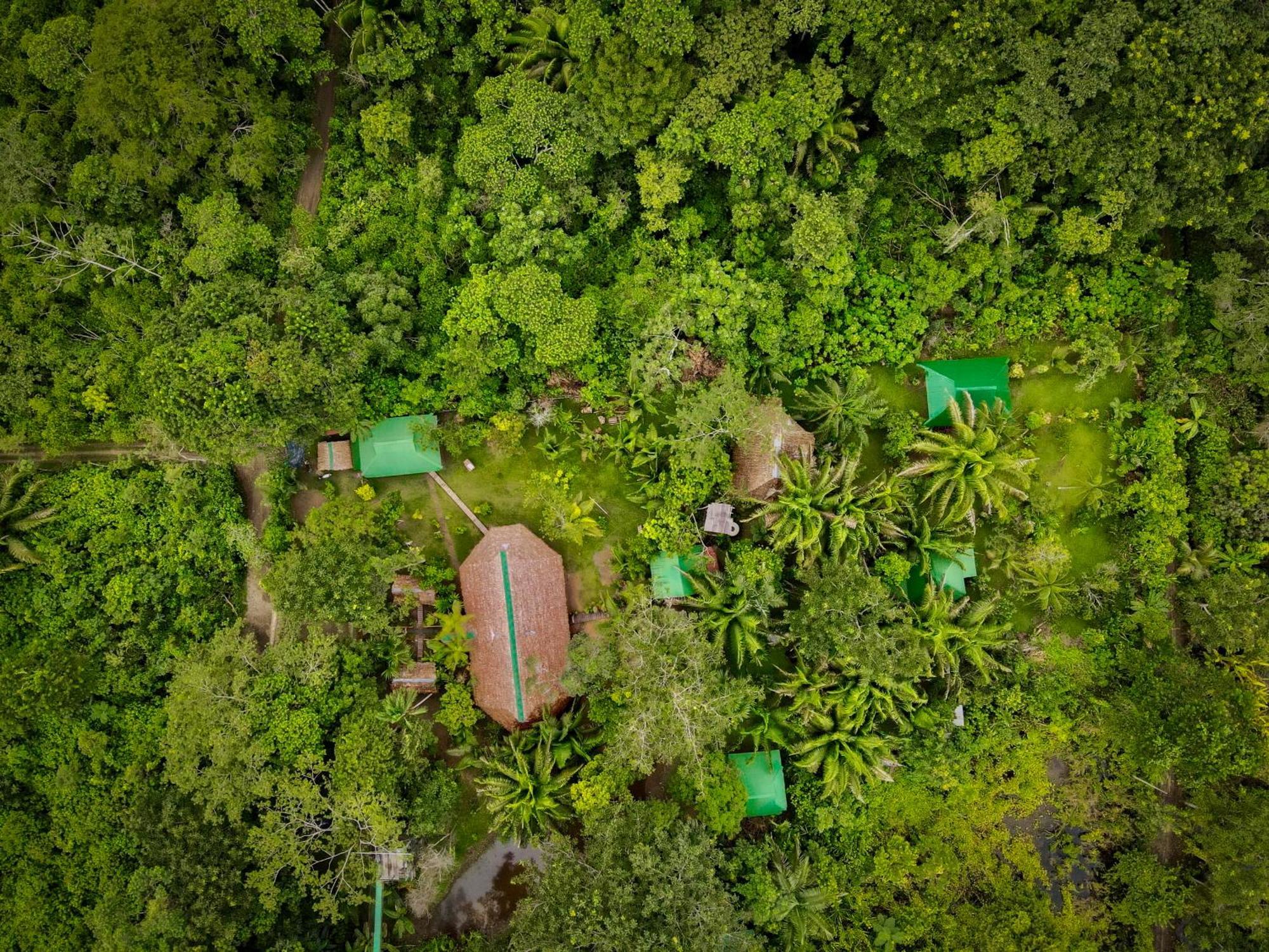 Tronco Tambopata Adventure Otel Puerto Maldonado Dış mekan fotoğraf